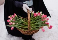 IMG_0302