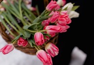 IMG_0303
