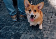 IMG_7112