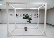 IMG_9478